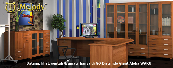 distrindo program